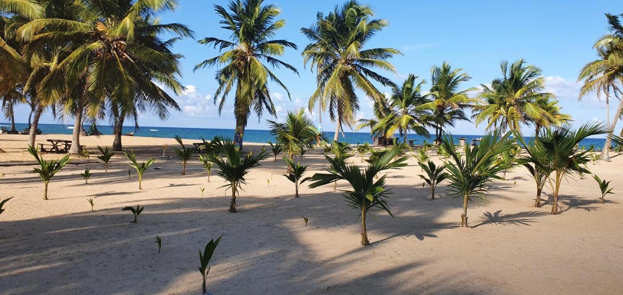 Puntacana Ecolodge Lavacama Beach Costa Arrecife By Aa Crypto Group بونتا كانا المظهر الخارجي الصورة