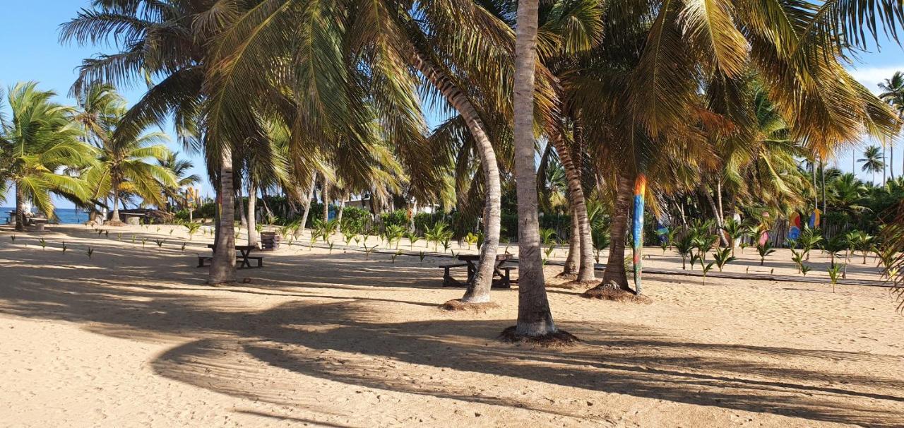Puntacana Ecolodge Lavacama Beach Costa Arrecife By Aa Crypto Group بونتا كانا المظهر الخارجي الصورة