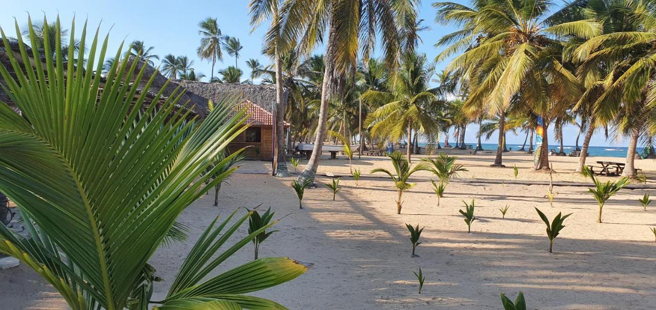 Puntacana Ecolodge Lavacama Beach Costa Arrecife By Aa Crypto Group بونتا كانا المظهر الخارجي الصورة