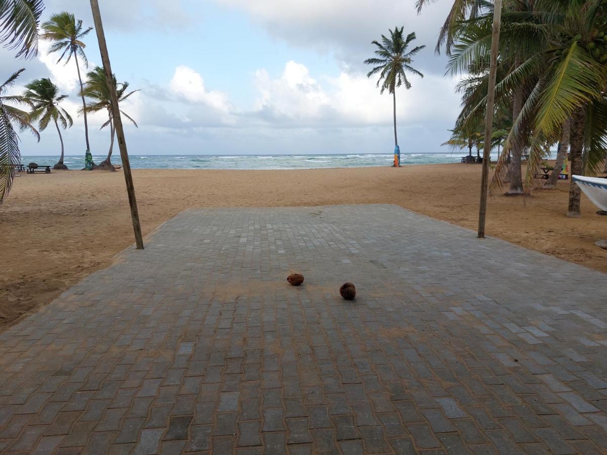 Puntacana Ecolodge Lavacama Beach Costa Arrecife By Aa Crypto Group بونتا كانا المظهر الخارجي الصورة