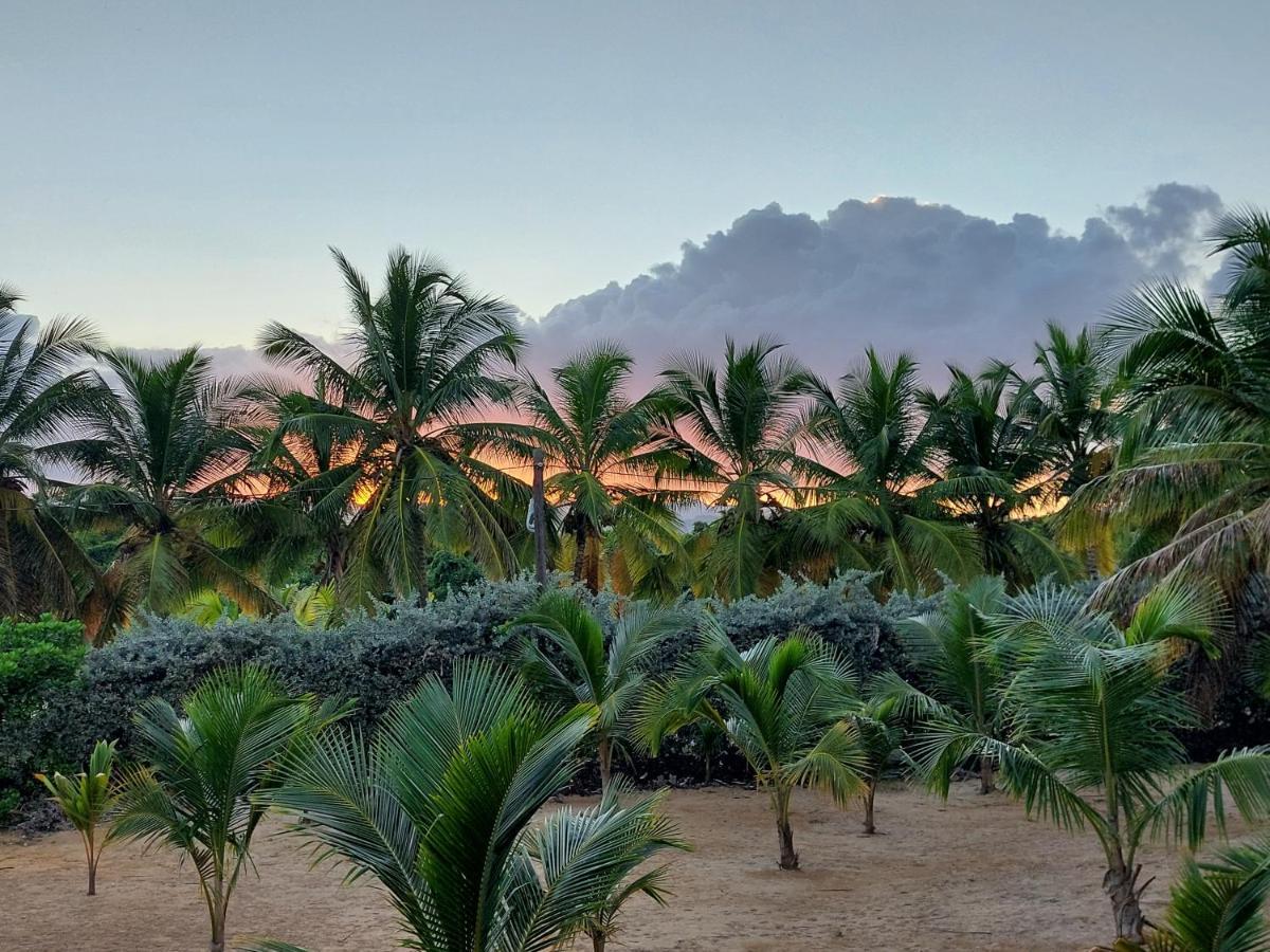 Puntacana Ecolodge Lavacama Beach Costa Arrecife By Aa Crypto Group بونتا كانا المظهر الخارجي الصورة