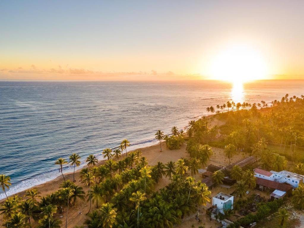 Puntacana Ecolodge Lavacama Beach Costa Arrecife By Aa Crypto Group بونتا كانا المظهر الخارجي الصورة