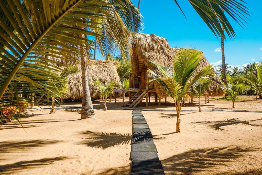 Puntacana Ecolodge Lavacama Beach Costa Arrecife By Aa Crypto Group بونتا كانا المظهر الخارجي الصورة
